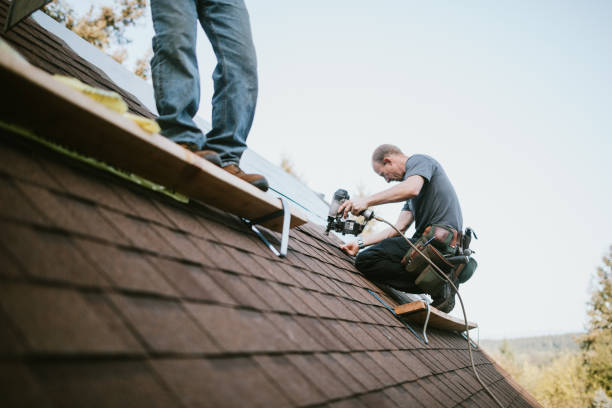 Roof Gutter Cleaning in Marion, VA